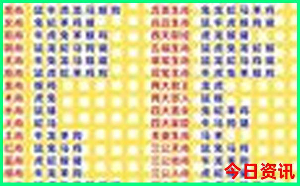 新澳门六开历史记录查询