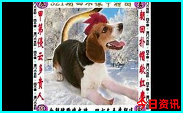 西双版纳带孩子去哪里好玩