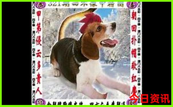 江阴景点排行榜前十名