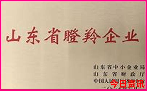 东江湖旅游攻略一日游