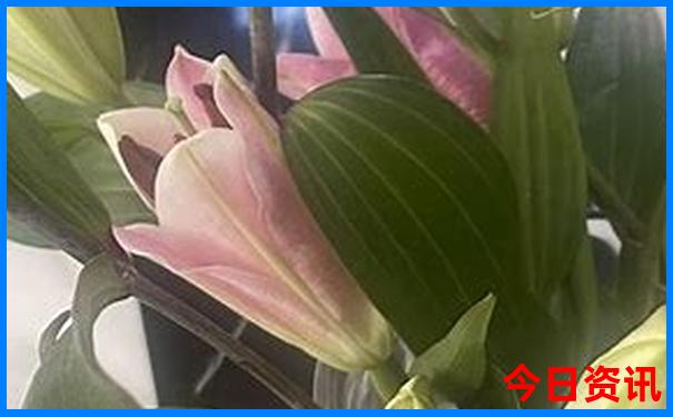 这个季节适合去哪里玩