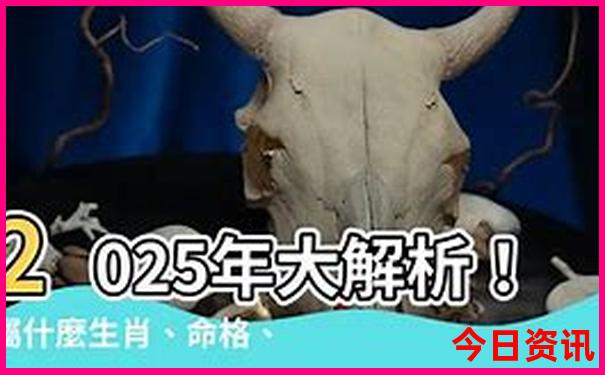 旅游公司排行榜前十名